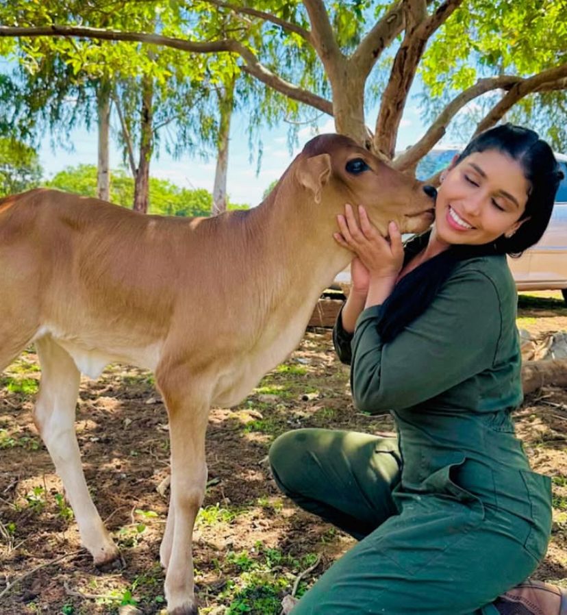 Animais Silvestres e Rurais